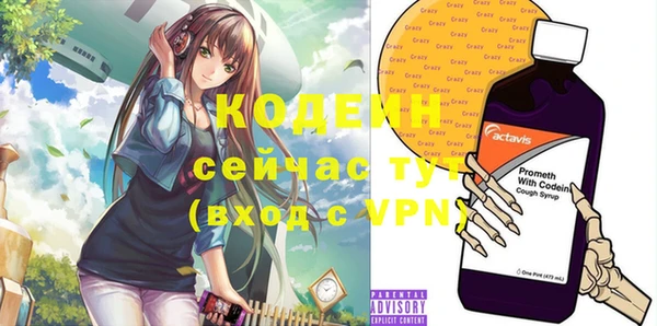 хмурый Дегтярск