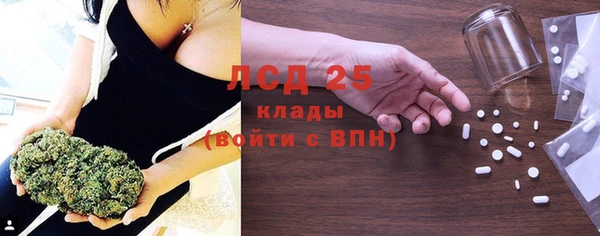 крисы Дедовск