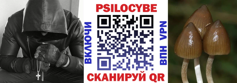 Псилоцибиновые грибы Psilocybine cubensis Кузнецк