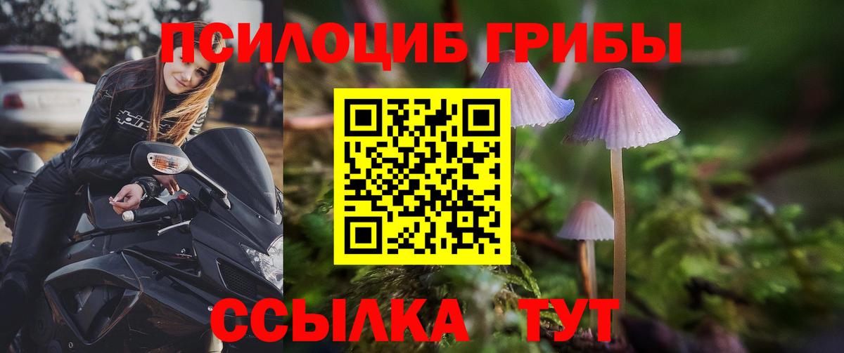 Галлюциногенные грибы прущие грибы  Вход с VPN  Псилоцибиновые грибы прущие грибы  Кузнецк 